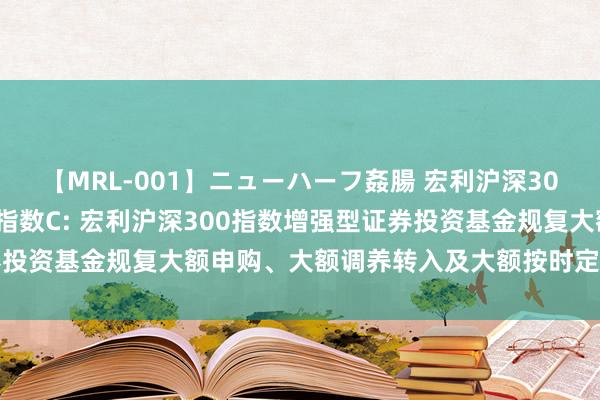 【MRL-001】ニューハーフ姦腸 宏利沪深300指数A，宏利沪深300指数C: 宏利沪深300指数增强型证券投资基金规复大额申购、大额调养转入及大额按时定额投资业务公告