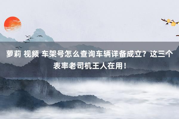 萝莉 视频 车架号怎么查询车辆详备成立？这三个表率老司机王人在用！