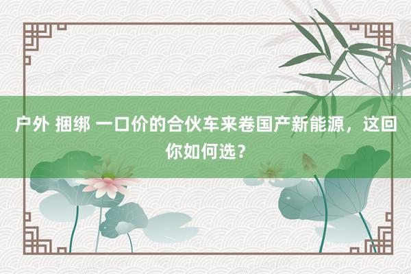 户外 捆绑 一口价的合伙车来卷国产新能源，这回你如何选？
