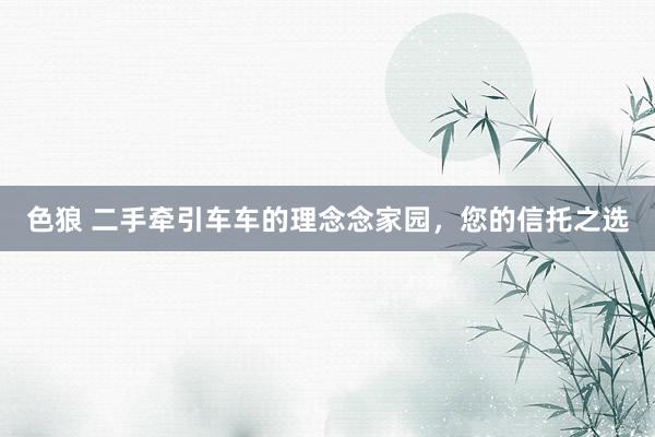色狼 二手牵引车车的理念念家园，您的信托之选