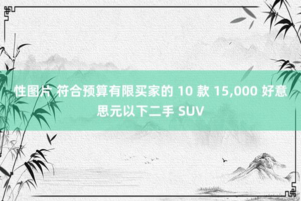 性图片 符合预算有限买家的 10 款 15，000 好意思元以下二手 SUV