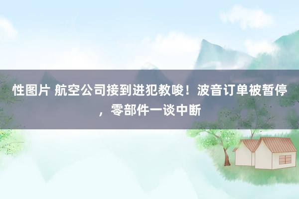 性图片 航空公司接到进犯教唆！波音订单被暂停，零部件一谈中断