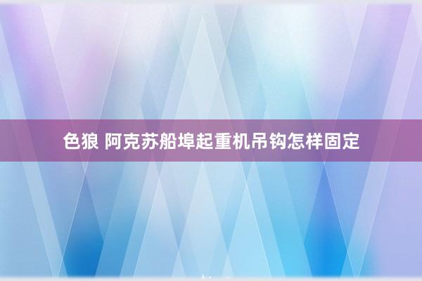 色狼 阿克苏船埠起重机吊钩怎样固定