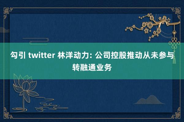 勾引 twitter 林洋动力: 公司控股推动从未参与转融通业务