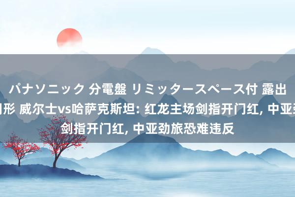パナソニック 分電盤 リミッタースペース付 露出・半埋込両用形 威尔士vs哈萨克斯坦: 红龙主场剑指开门红， 中亚劲旅恐难违反