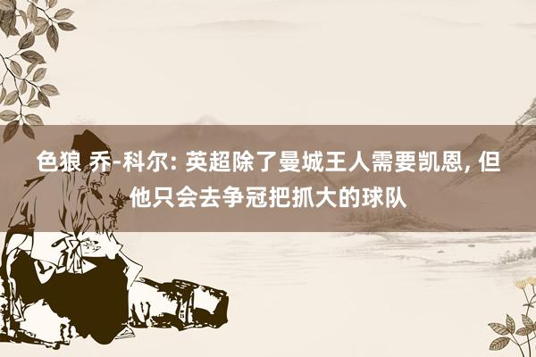 色狼 乔-科尔: 英超除了曼城王人需要凯恩， 但他只会去争冠把抓大的球队