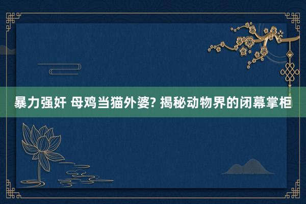 暴力强奸 母鸡当猫外婆? 揭秘动物界的闭幕掌柜