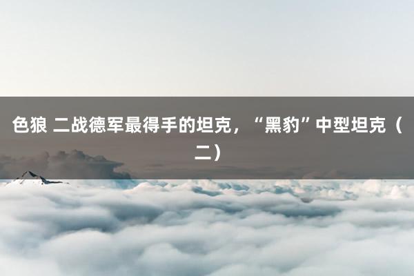 色狼 二战德军最得手的坦克，“黑豹”中型坦克（二）